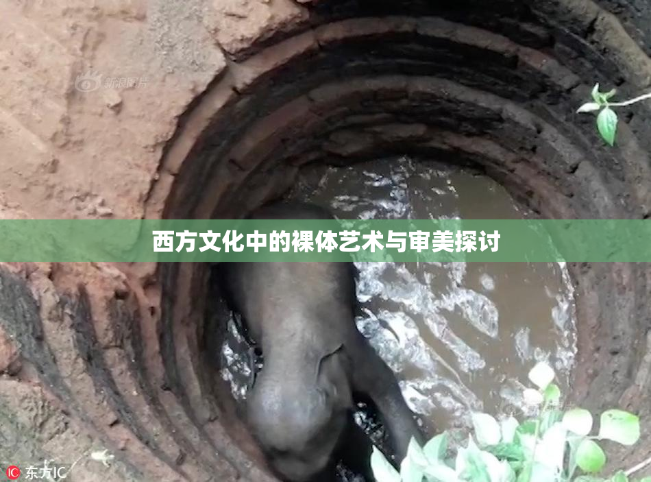 西方文化中的裸体艺术与审美探讨