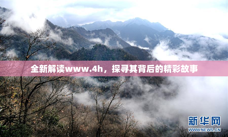 全新解读www.4h，探寻其背后的精彩故事