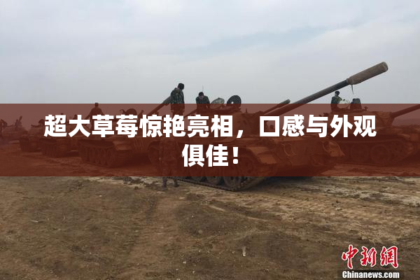 超大草莓惊艳亮相，口感与外观俱佳！