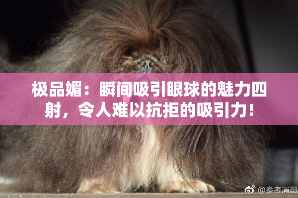 极品媚：瞬间吸引眼球的魅力四射，令人难以抗拒的吸引力！