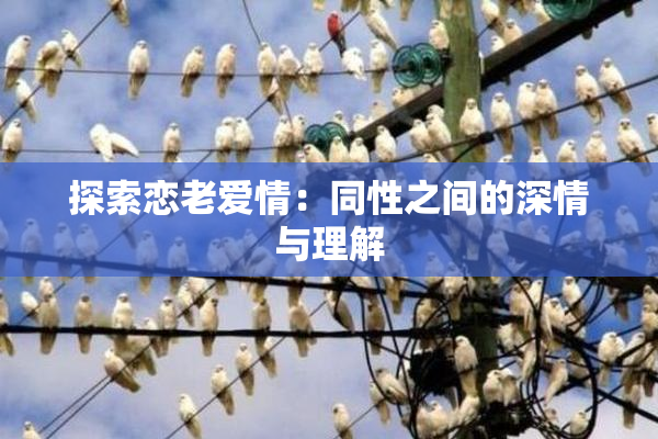 探索恋老爱情：同性之间的深情与理解