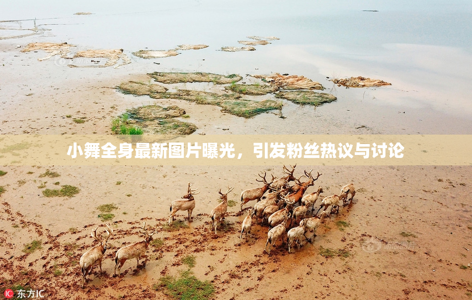 小舞全身最新图片曝光，引发粉丝热议与讨论