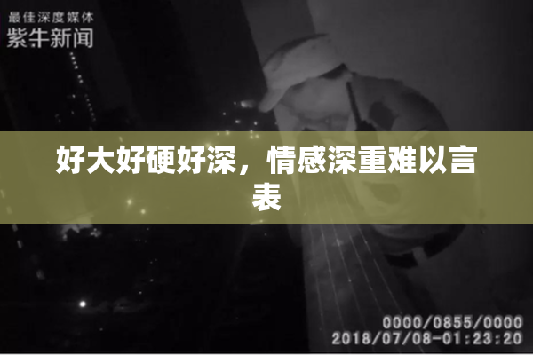 好大好硬好深，情感深重难以言表