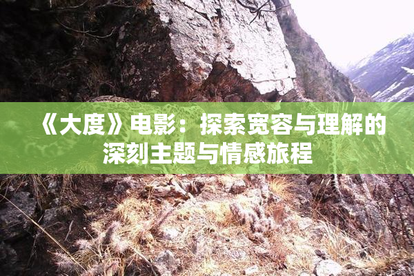 《大度》电影：探索宽容与理解的深刻主题与情感旅程