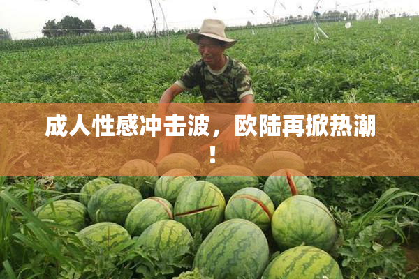 成人性感冲击波，欧陆再掀热潮！