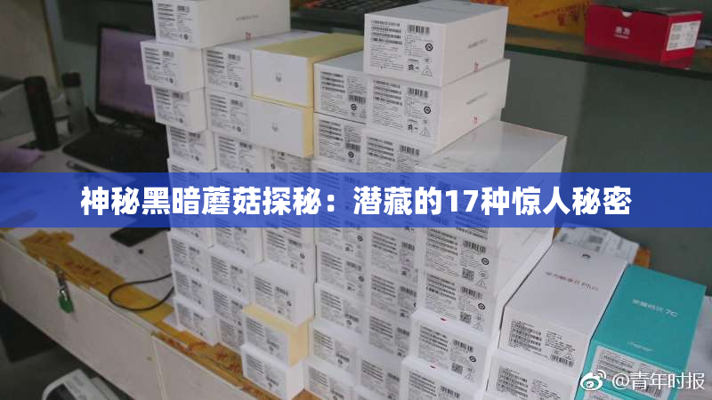 神秘黑暗蘑菇探秘：潜藏的17种惊人秘密