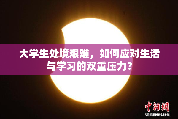 大学生处境艰难，如何应对生活与学习的双重压力？