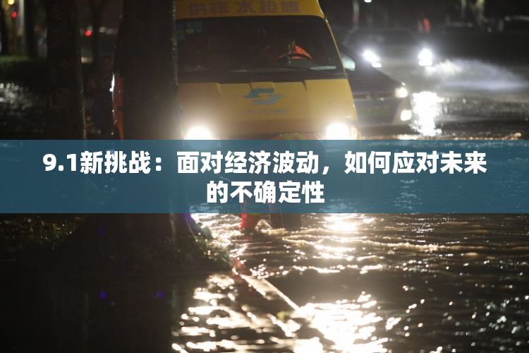 9.1新挑战：面对经济波动，如何应对未来的不确定性