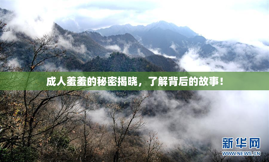 成人羞羞的秘密揭晓，了解背后的故事！