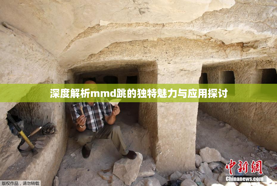 深度解析mmd跳的独特魅力与应用探讨