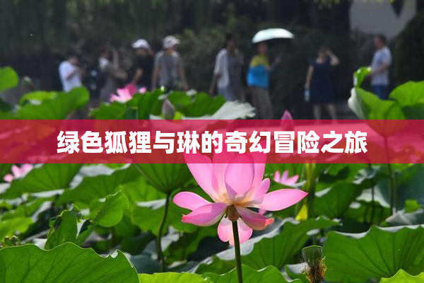 绿色狐狸与琳的奇幻冒险之旅