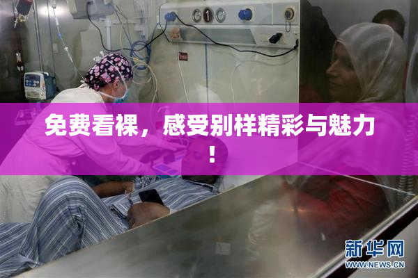 免费看裸，感受别样精彩与魅力！