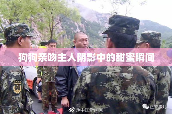 狗狗亲吻主人阴影中的甜蜜瞬间