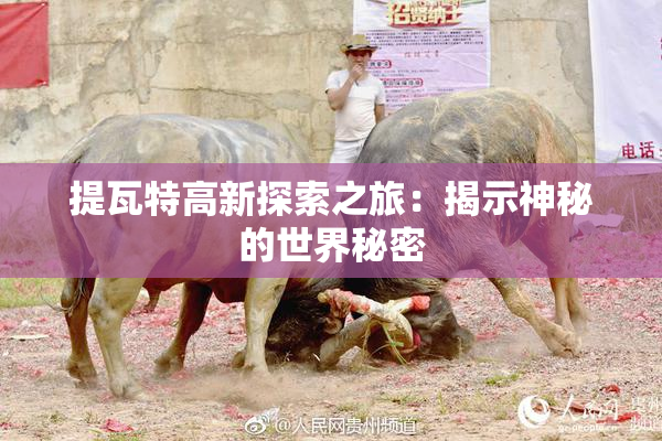提瓦特高新探索之旅：揭示神秘的世界秘密