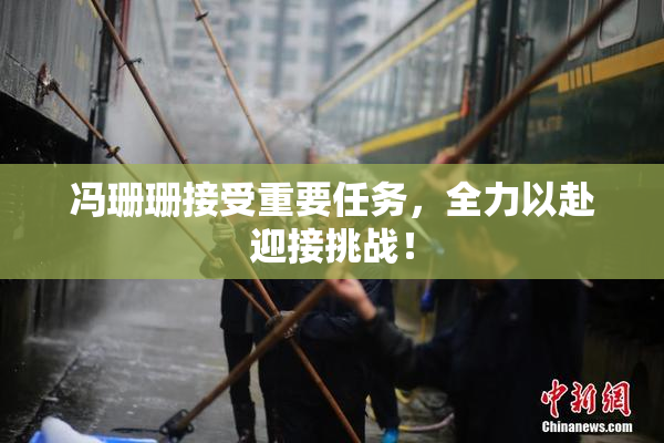 冯珊珊接受重要任务，全力以赴迎接挑战！