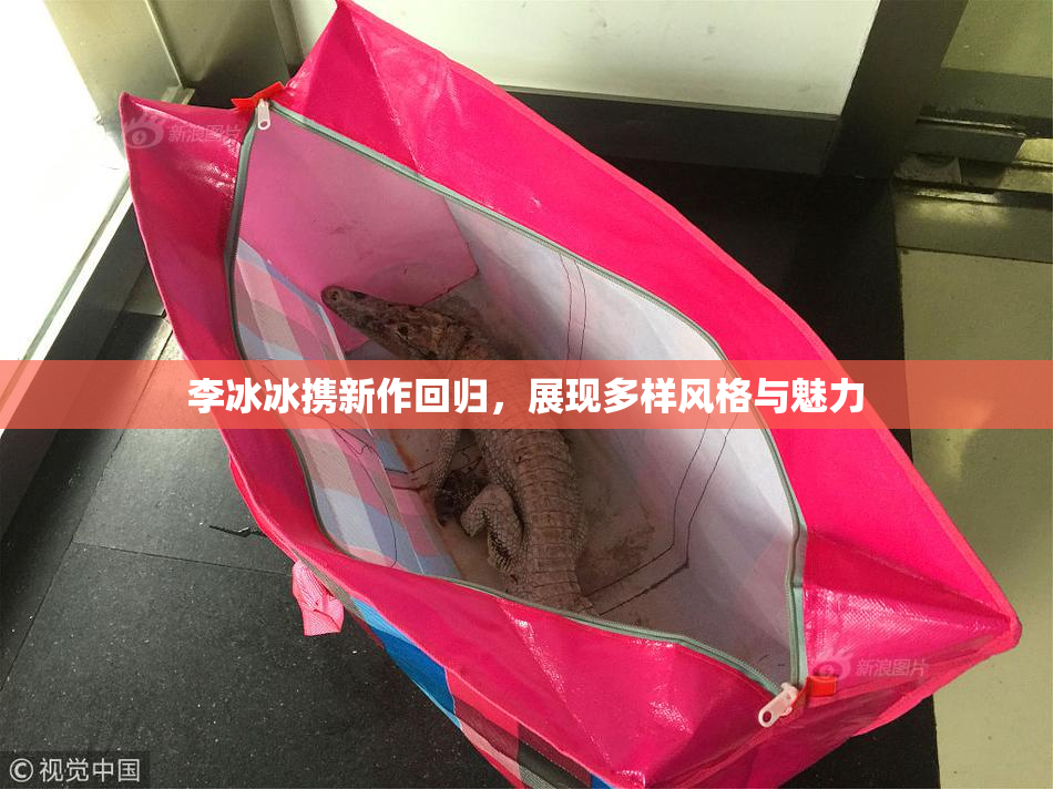 李冰冰携新作回归，展现多样风格与魅力
