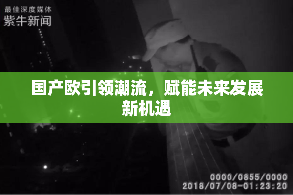 国产欧引领潮流，赋能未来发展新机遇