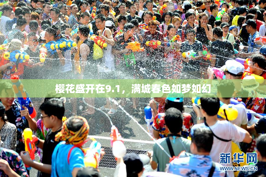 樱花盛开在9.1，满城春色如梦如幻