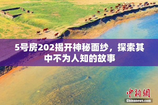 5号房202揭开神秘面纱，探索其中不为人知的故事