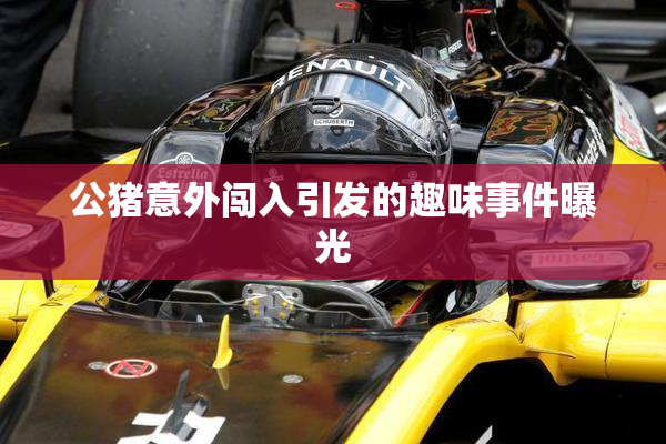 公猪意外闯入引发的趣味事件曝光