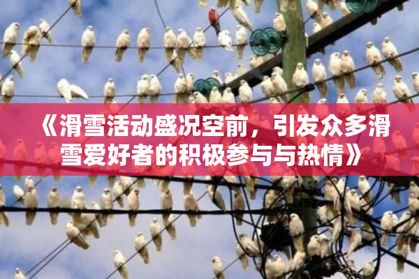 《滑雪活动盛况空前，引发众多滑雪爱好者的积极参与与热情》