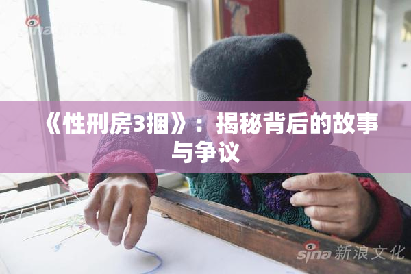 《性刑房3捆》：揭秘背后的故事与争议