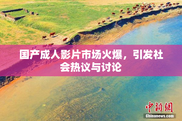 国产成人影片市场火爆，引发社会热议与讨论
