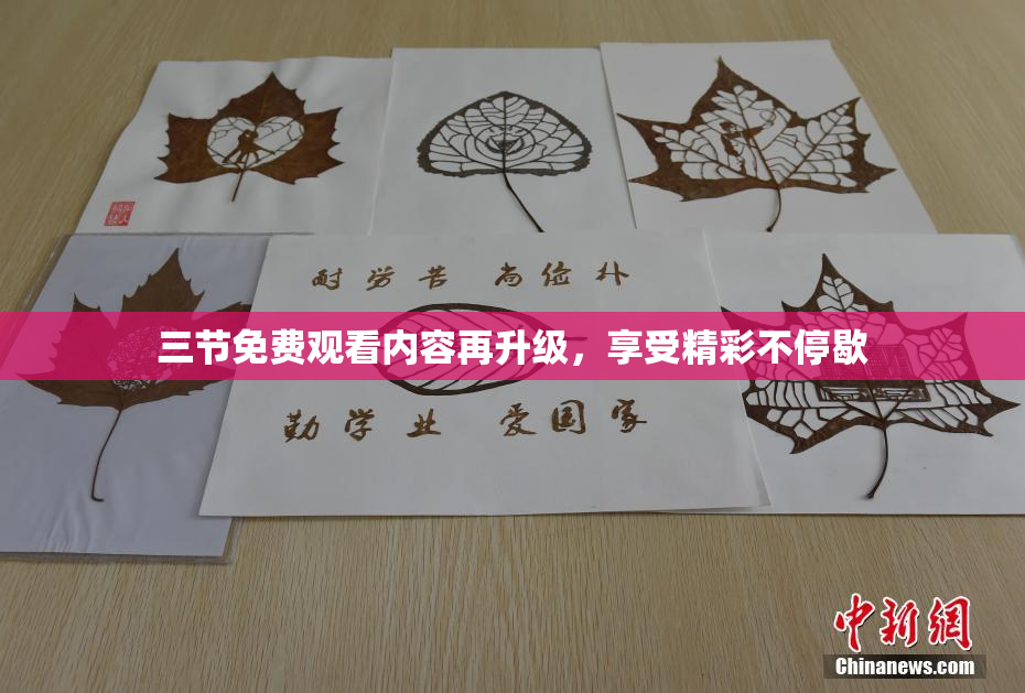 三节免费观看内容再升级，享受精彩不停歇