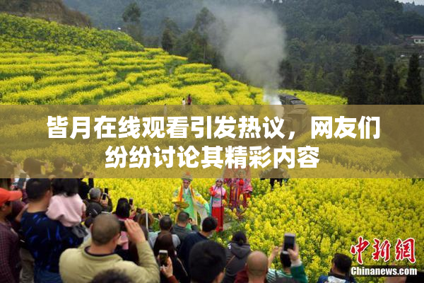 皆月在线观看引发热议，网友们纷纷讨论其精彩内容