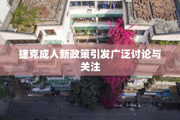 捷克成人新政策引发广泛讨论与关注