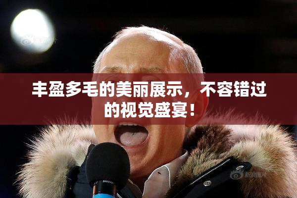 丰盈多毛的美丽展示，不容错过的视觉盛宴！