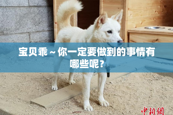 宝贝乖～你一定要做到的事情有哪些呢？