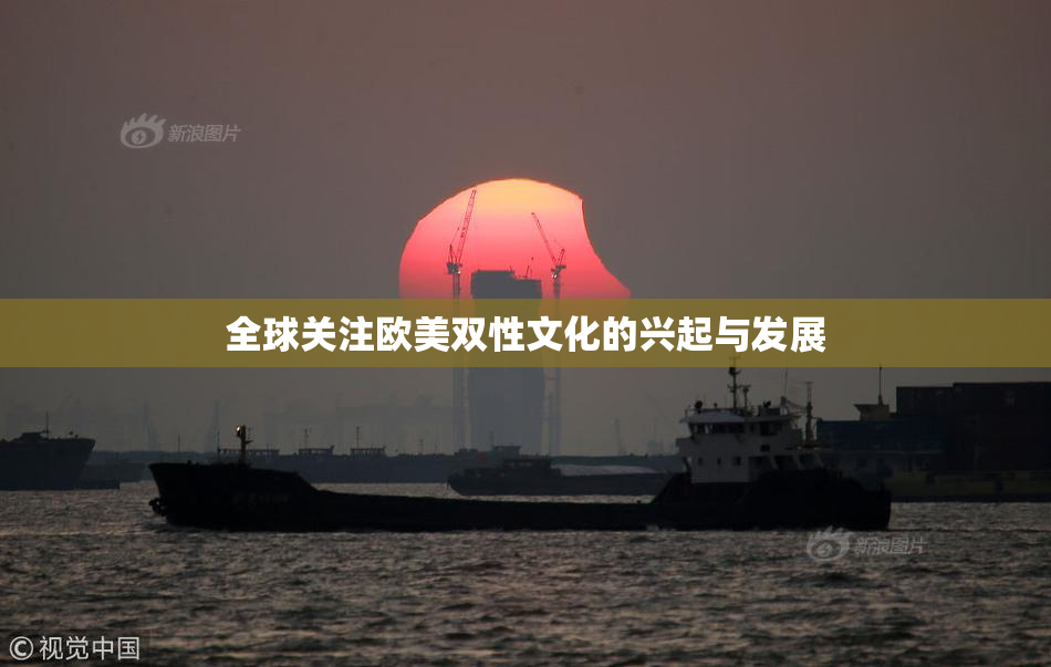 全球关注欧美双性文化的兴起与发展