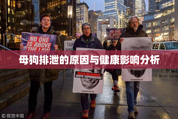 母狗排泄的原因与健康影响分析