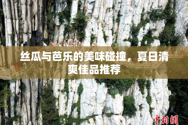 丝瓜与芭乐的美味碰撞，夏日清爽佳品推荐