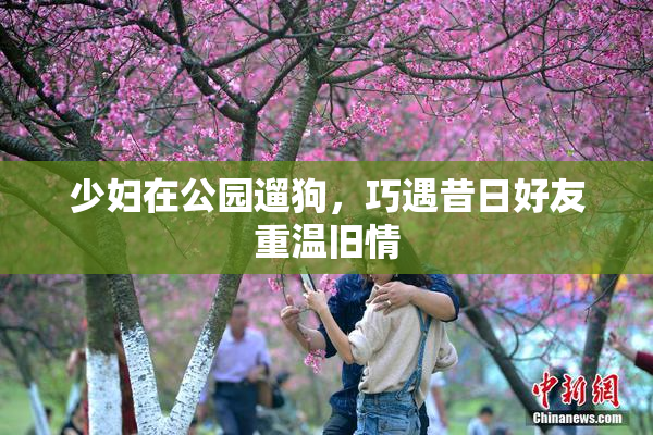少妇在公园遛狗，巧遇昔日好友重温旧情