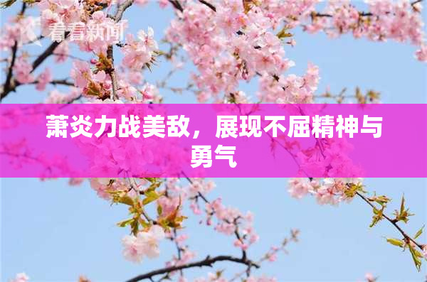 萧炎力战美敌，展现不屈精神与勇气