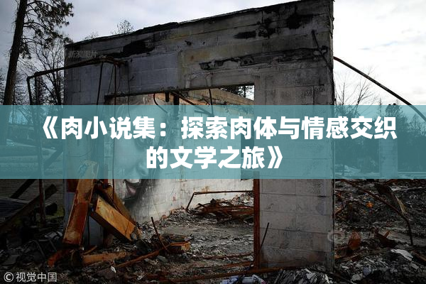《肉小说集：探索肉体与情感交织的文学之旅》
