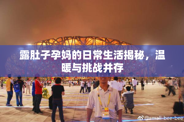 露肚子孕妈的日常生活揭秘，温暖与挑战并存