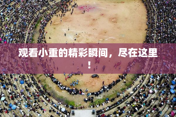 观看小重的精彩瞬间，尽在这里！