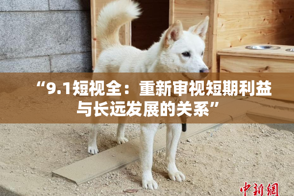 “9.1短视全：重新审视短期利益与长远发展的关系”