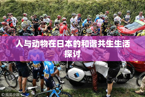 人与动物在日本的和谐共生生活探讨