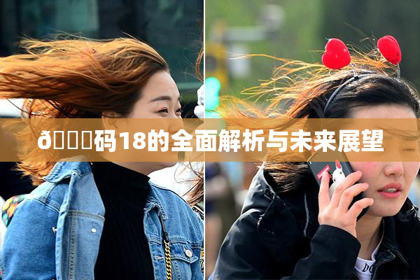 🈚码18的全面解析与未来展望