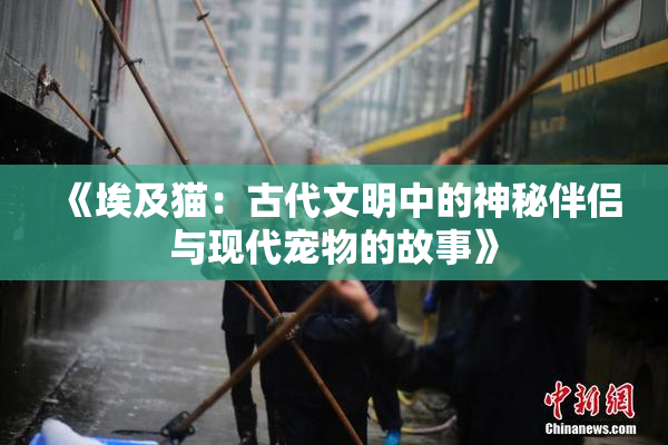 《埃及猫：古代文明中的神秘伴侣与现代宠物的故事》