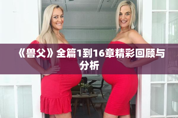 《兽父》全篇1到16章精彩回顾与分析