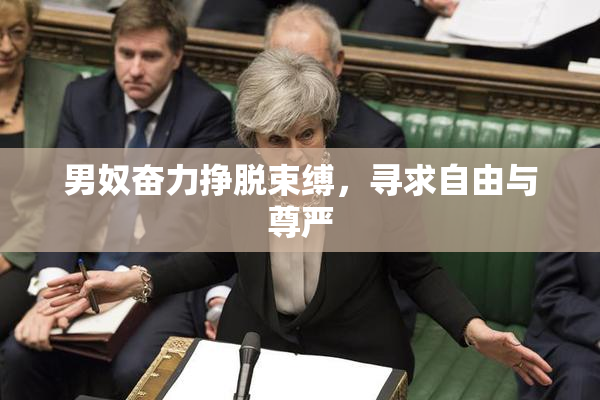 男奴奋力挣脱束缚，寻求自由与尊严