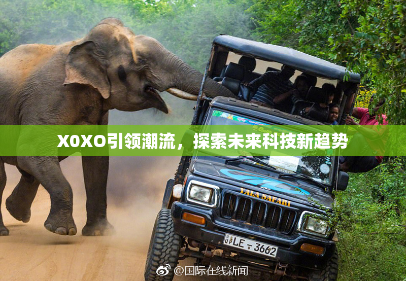 X0XO引领潮流，探索未来科技新趋势