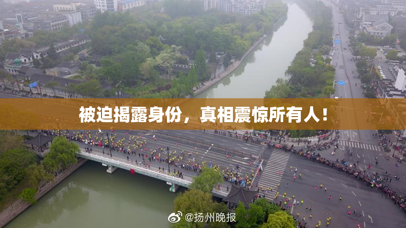 被迫揭露身份，真相震惊所有人！