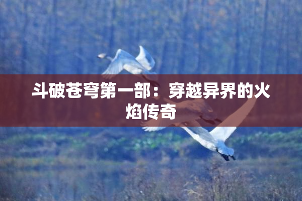 斗破苍穹第一部：穿越异界的火焰传奇
