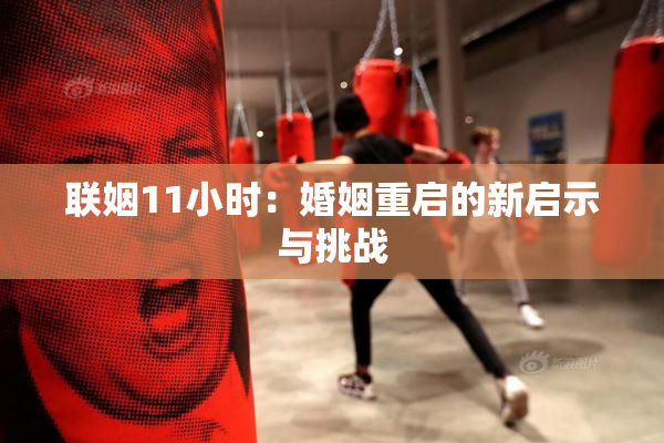 联姻11小时：婚姻重启的新启示与挑战
